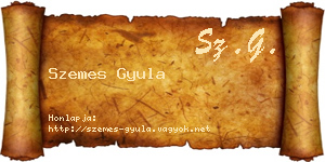 Szemes Gyula névjegykártya